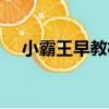 小霸王早教機（關于小霸王早教機簡介）