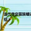 當代貴定苗族蠟染百褶裙（關于當代貴定苗族蠟染百褶裙介紹）