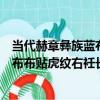當代赫章彝族藍布布貼虎紋右衽長衫（關于當代赫章彝族藍布布貼虎紋右衽長衫介紹）