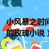 小風暴之時間的玫瑰小說原著（小風暴之時間的玫瑰小說）