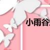 小雨谷站（關于小雨谷站簡介）