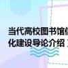 當代高校圖書館信息化建設導論（關于當代高校圖書館信息化建設導論介紹）