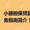 小額擔保貸款實務指南（關于小額擔保貸款實務指南簡介）
