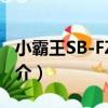 小霸王SB-FZ50D（關于小霸王SB-FZ50D簡介）