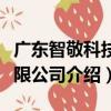 廣東智敬科技有限公司（關于廣東智敬科技有限公司介紹）