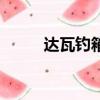 達瓦釣箱官方旗艦店（達瓦釣箱）