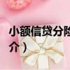 小額信貸分險基金（關于小額信貸分險基金簡介）