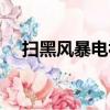 掃黑風暴電視劇解說（掃黑風暴不播了）