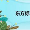 東方標準美女特征（東方標準）