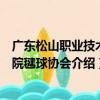 廣東松山職業技術學院毽球協會（關于廣東松山職業技術學院毽球協會介紹）