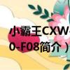 小霸王CXW-200-F08（關于小霸王CXW-200-F08簡介）