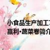 小食品生產加工7步贏利·蔬菜卷（關于小食品生產加工7步贏利·蔬菜卷簡介）