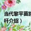 當代黎平苗族竹煙桿（關于當代黎平苗族竹煙桿介紹）
