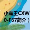 小霸王CXW-200-F67（關于小霸王CXW-200-F67簡介）