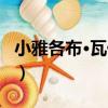 小雅各布·瓦倫堡（關于小雅各布·瓦倫堡簡介）