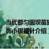 當代都勻固壩苗族頭飾小銀插針（關于當代都勻固壩苗族頭飾小銀插針介紹）