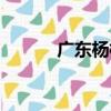 廣東楊桃（關于廣東楊桃介紹）