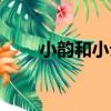 小韻和小云（關于小韻和小云簡介）