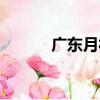 廣東月福（關于廣東月福介紹）
