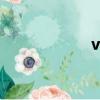 vb cls是什么意思？