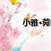 小雅·菀柳（關于小雅·菀柳簡介）