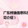 廣東梓瑞信息科技有限公司（關于廣東梓瑞信息科技有限公司介紹）