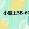 小霸王SB-602（關于小霸王SB-602簡介）