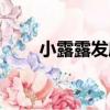 小露露發廊（關于小露露發廊簡介）