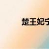 楚王妃寧兒完整版（楚王妃寧兒）