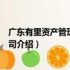 廣東有里資產管理有限公司（關于廣東有里資產管理有限公司介紹）