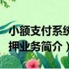 小額支付系統質押業務（關于小額支付系統質押業務簡介）