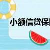 小額信貸保險（關于小額信貸保險簡介）
