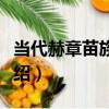 當代赫章苗族草鞋（關于當代赫章苗族草鞋介紹）