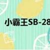 小霸王SB-28A（關于小霸王SB-28A簡介）