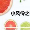 小風伶之歌（關于小風伶之歌簡介）