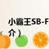 小霸王SB-FX50L（關于小霸王SB-FX50L簡介）