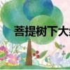 菩提樹下大結局解說（菩提樹下大結局）