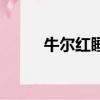 牛爾紅睡眠面膜（牛爾紅酒面膜）