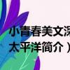 小青春美文深深太平洋（關于小青春美文深深太平洋簡介）