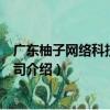 廣東柚子網絡科技有限公司（關于廣東柚子網絡科技有限公司介紹）