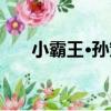 小霸王·孫策（關于小霸王·孫策簡介）
