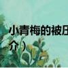 小青梅的被壓迫史（關于小青梅的被壓迫史簡介）