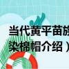 當代黃平苗族熏染棉帽（關于當代黃平苗族熏染棉帽介紹）