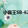 小霸王SB-626（關于小霸王SB-626簡介）