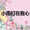 小雨打在我心底（關于小雨打在我心底簡介）