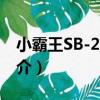 小霸王SB-2017S（關于小霸王SB-2017S簡介）