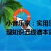 小音樂家：實用樂理知識五線譜本（關于小音樂家：實用樂理知識五線譜本簡介）