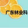 廣東林業科技（關于廣東林業科技介紹）