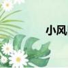 小風口（關于小風口簡介）