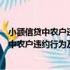 小額信貸中農戶違約行為及其風險控制研究（關于小額信貸中農戶違約行為及其風險控制研究簡介）